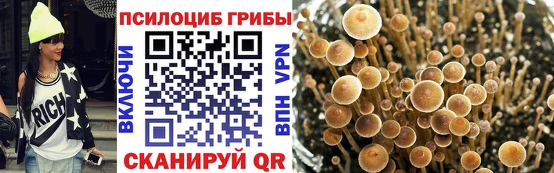 Псилоцибиновые грибы GOLDEN TEACHER Георгиевск